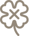 Icon 5